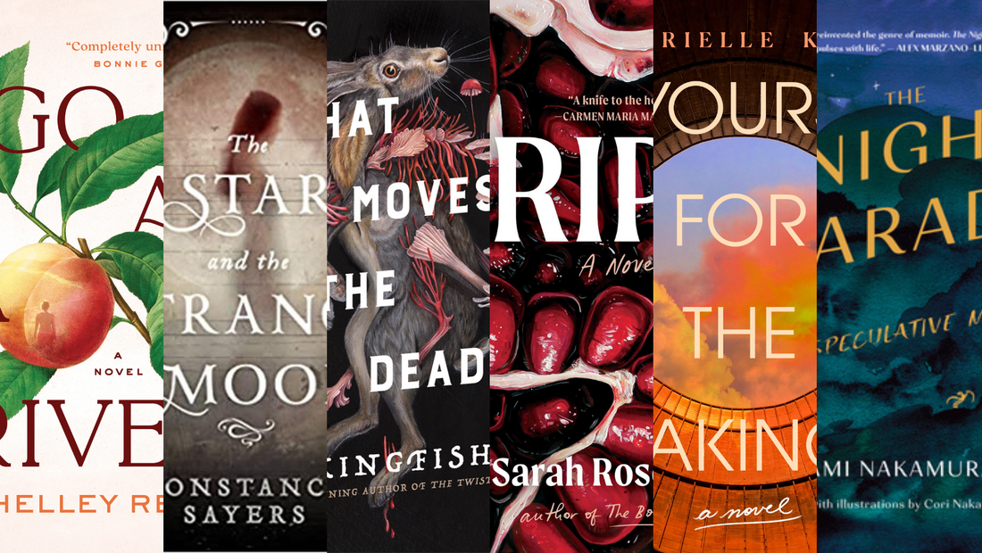 November 2023 Wrap-Up