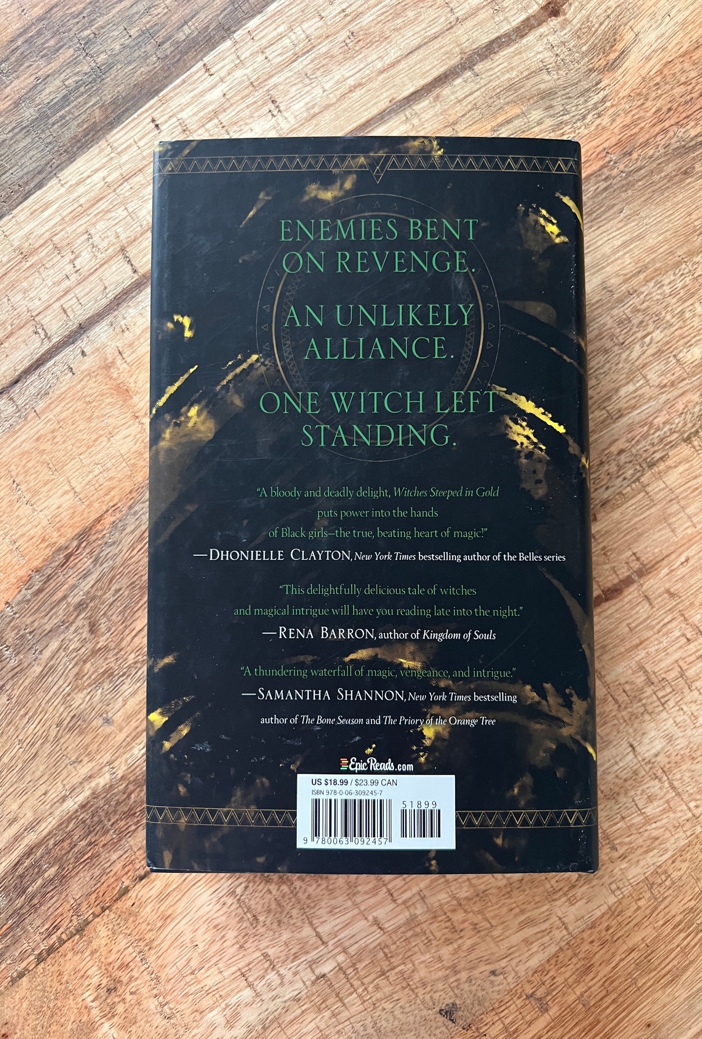 Witches Steeped in Gold (Witches Steeped in Gold #1)