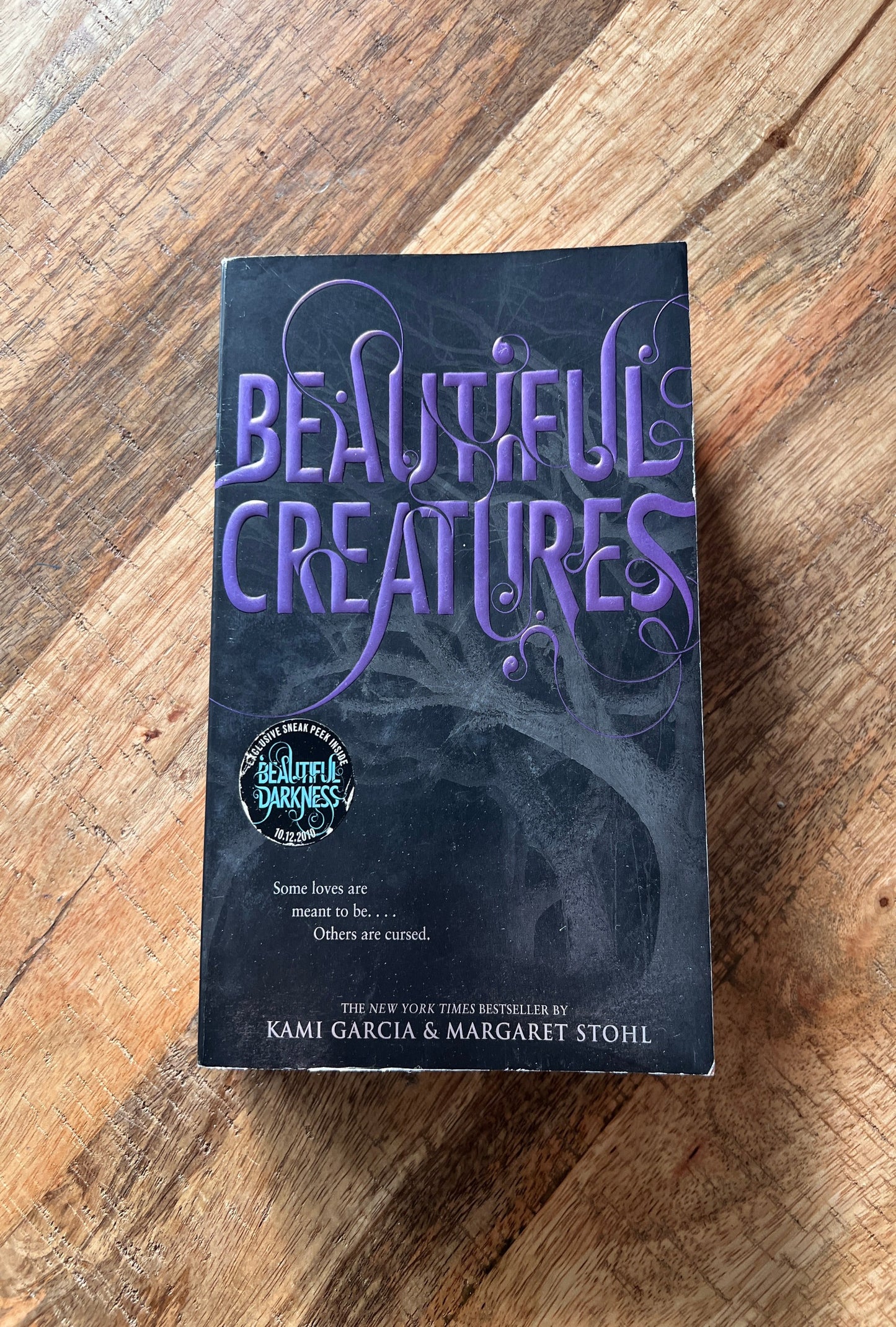Beautiful Creatures (Caster Chronicles #1)
