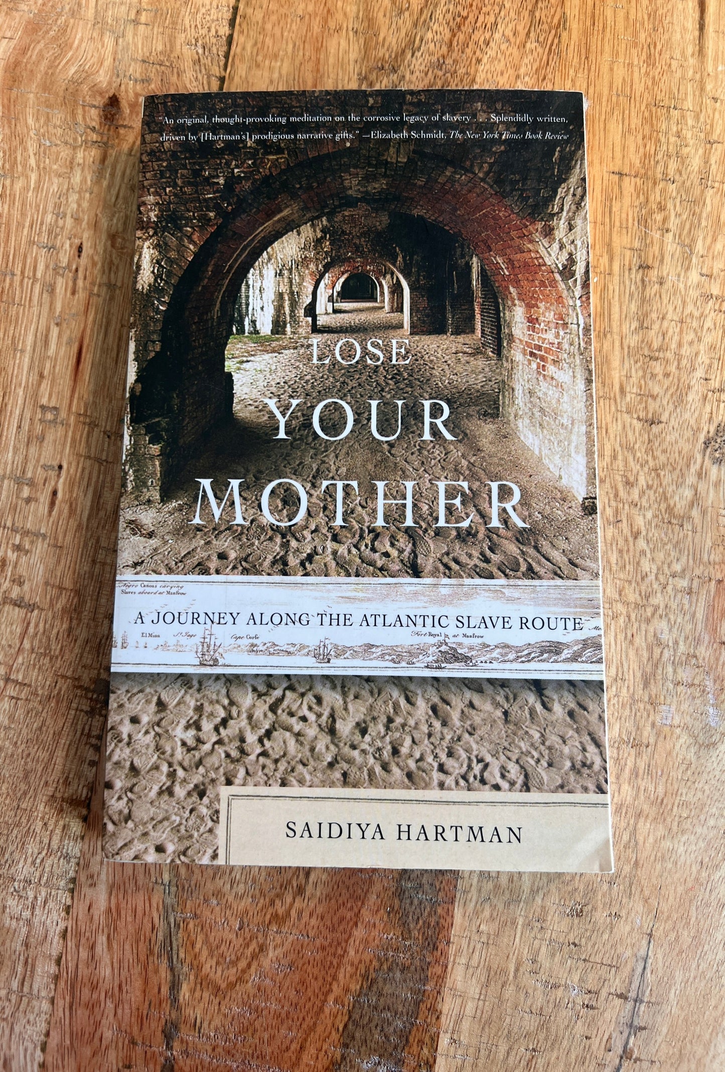 Lose Your Mother: A Journey Along the Atlantic Slave Route