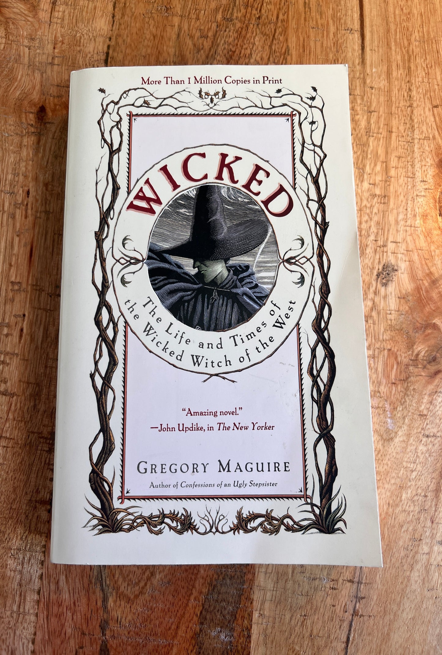 Wicked: The Life and Times of the Wicked Witch of the West (The Wicked Year #1)