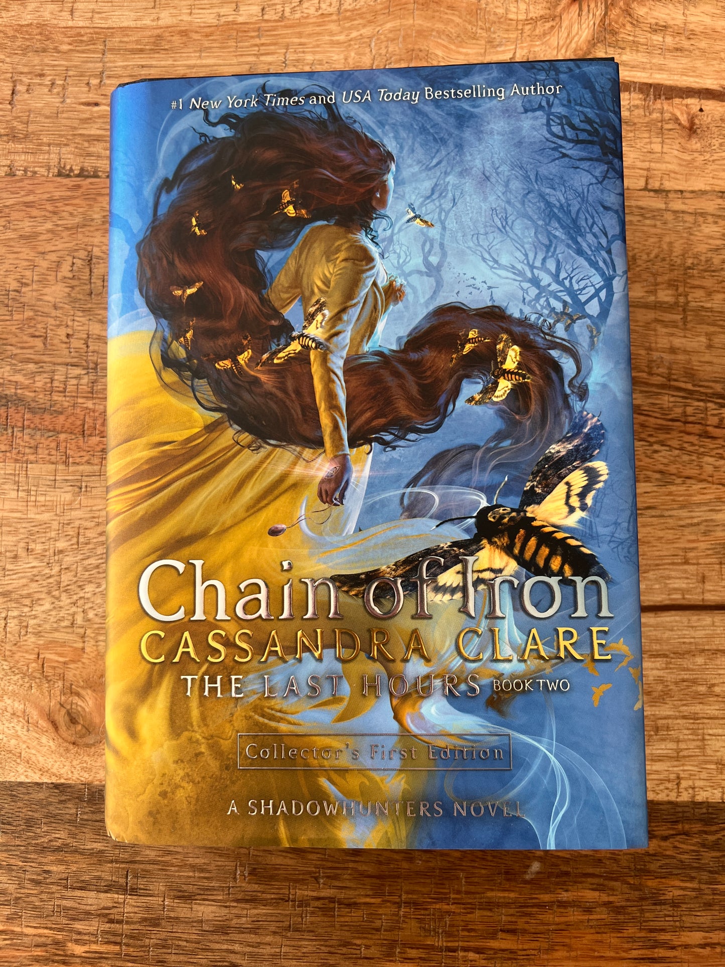 Chain of Iron (The Last Hours #2)