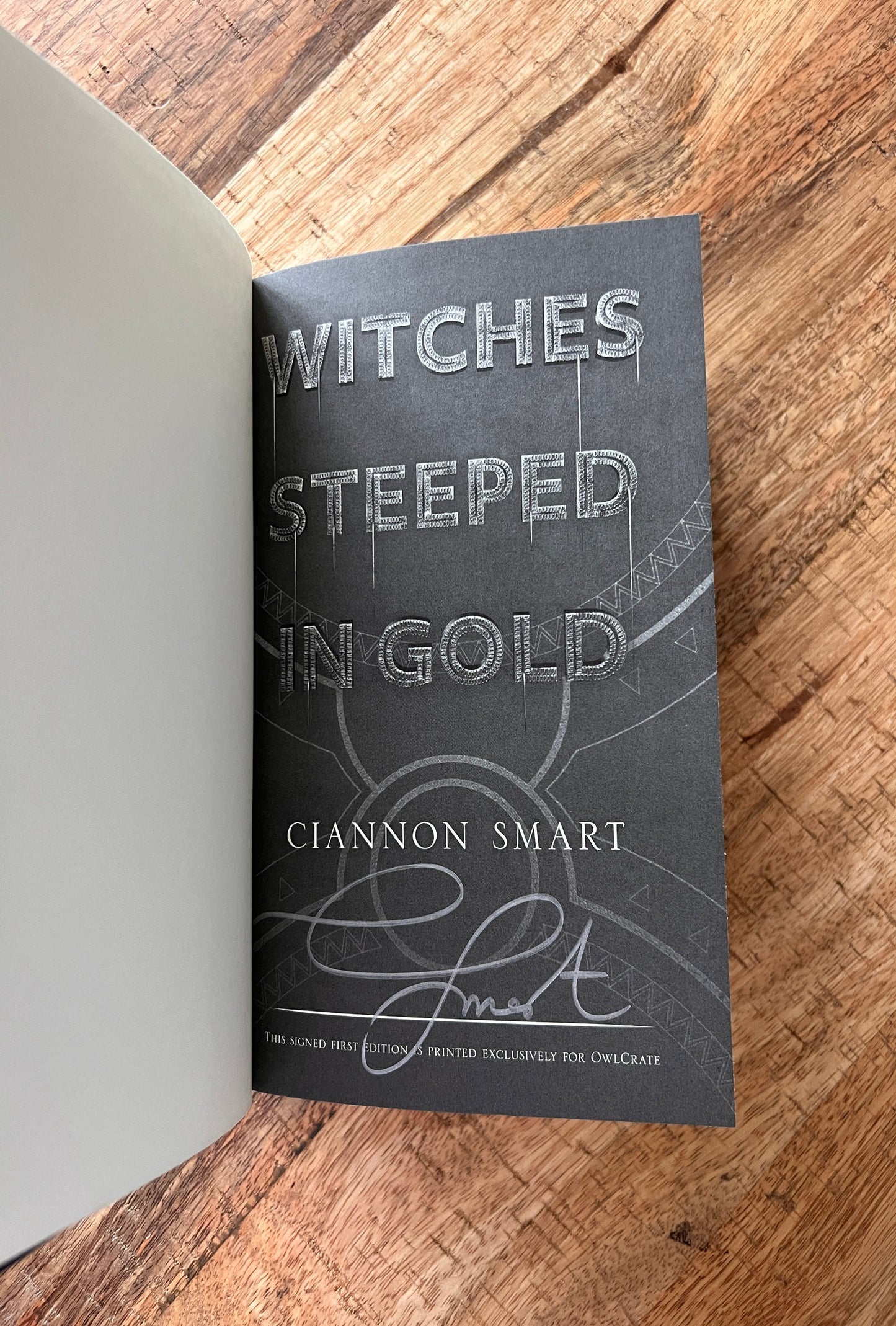 Witches Steeped in Gold (Witches Steeped in Gold #1)