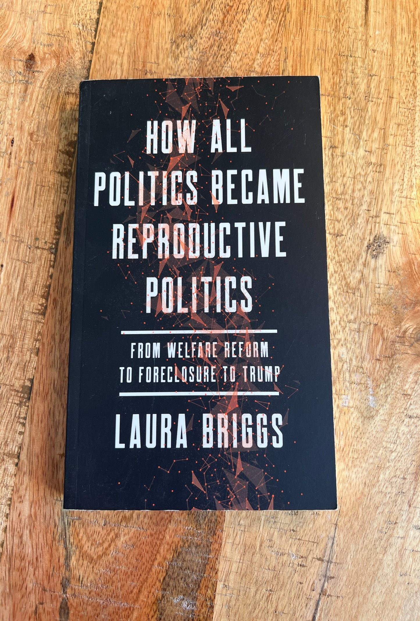 How All Politics Became Reproductive Politics