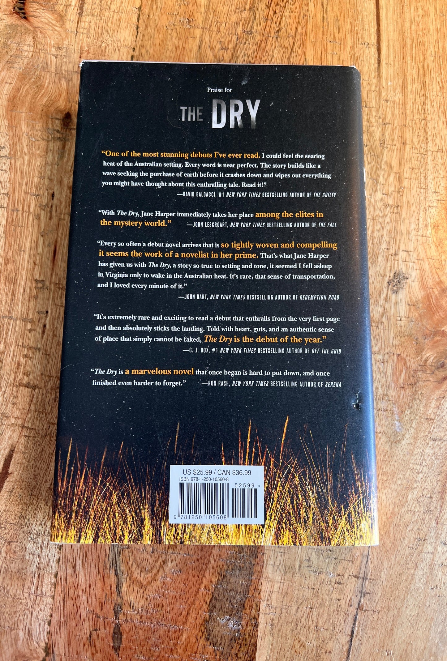 The Dry (Aaron Falk #1)