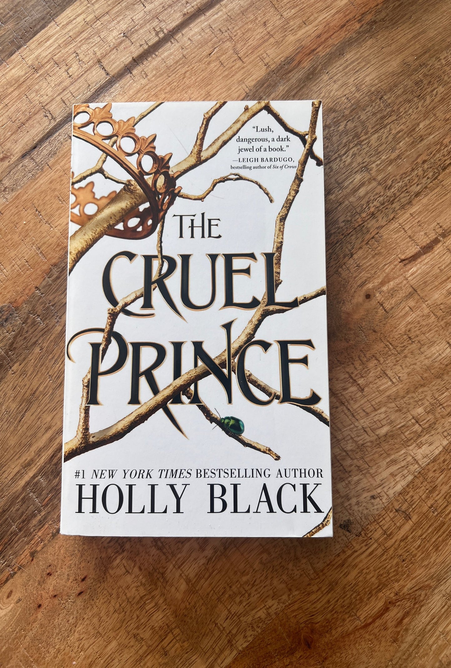 The Cruel Prince (The Folk of the Air #1)